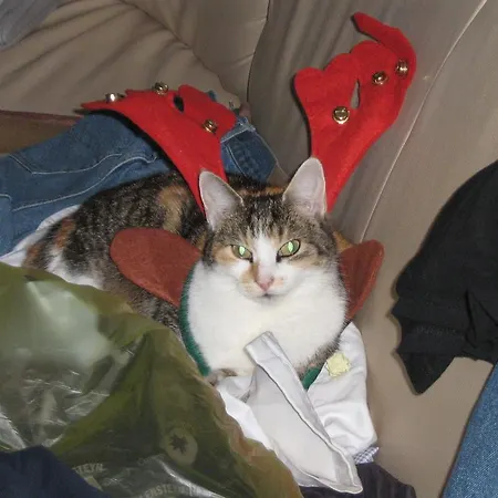 Hotel Zum Jean Bonnet